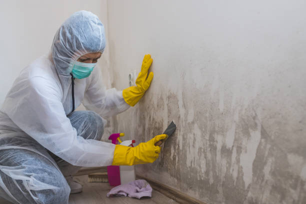 Deland Southwest, FL Mold Remediation Company