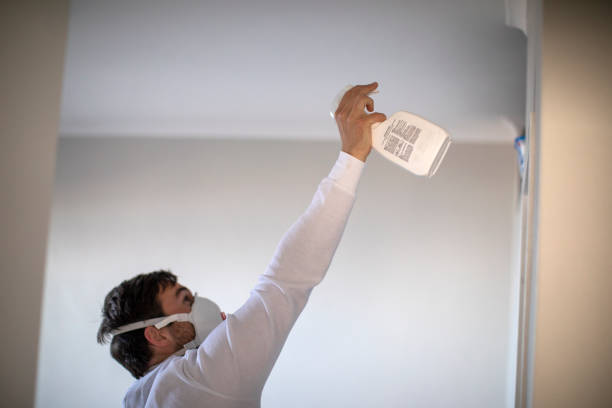 Best Attic Mold Remediation in Deland Southwest, FL
